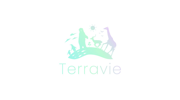 株式会社Terravie 様